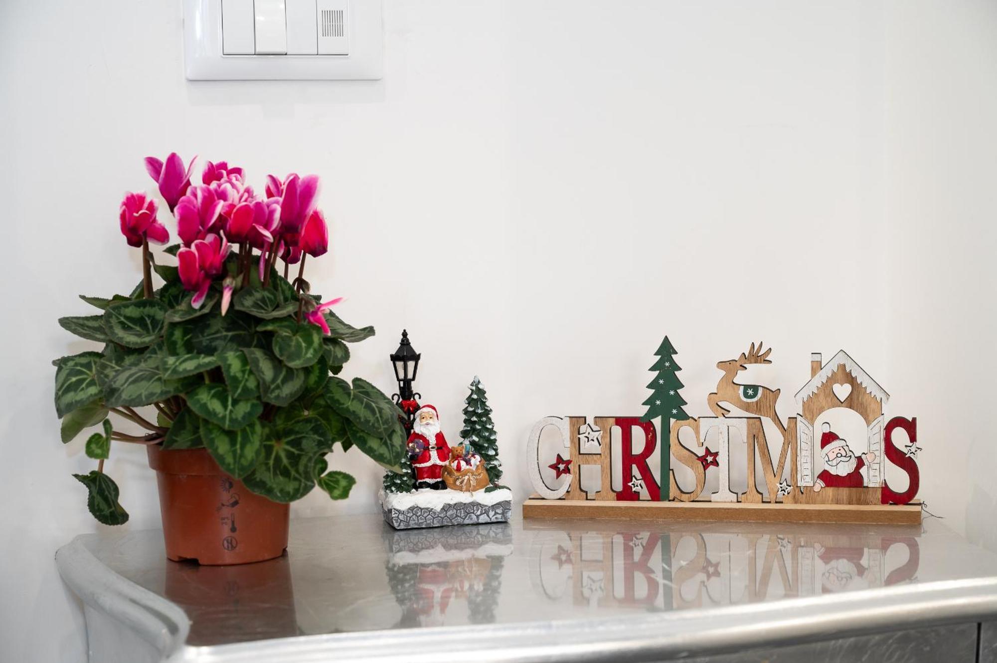 St. Peter Boutique Apt ローマ エクステリア 写真